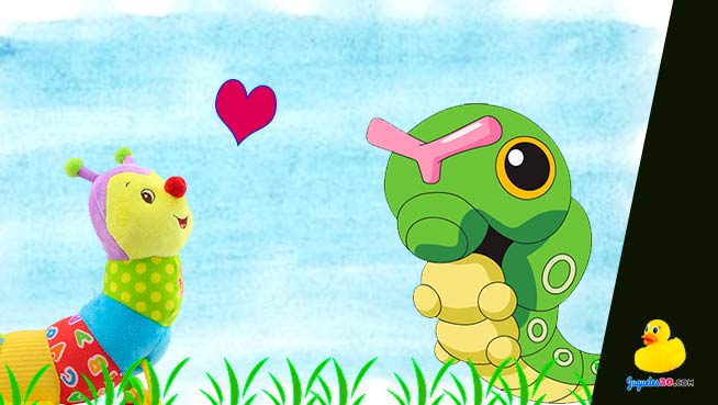peluches oruga